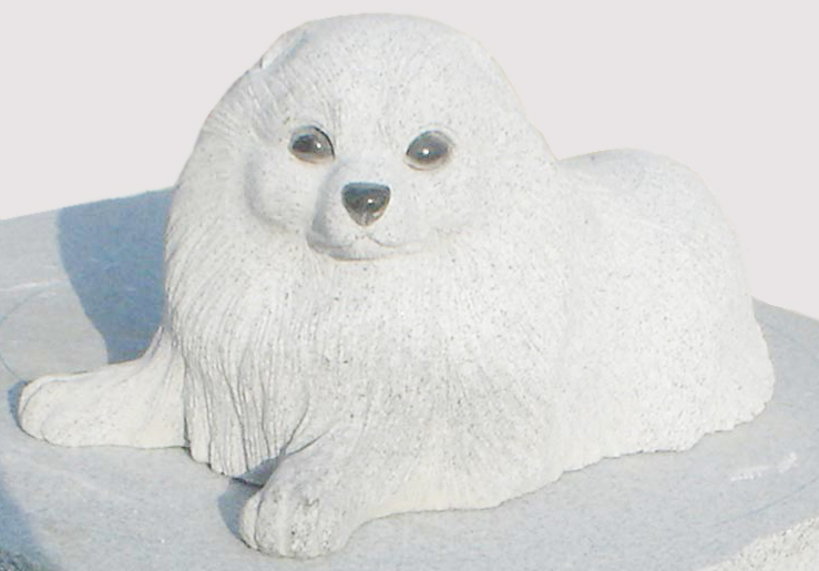 �z�[���[�X�g�[��